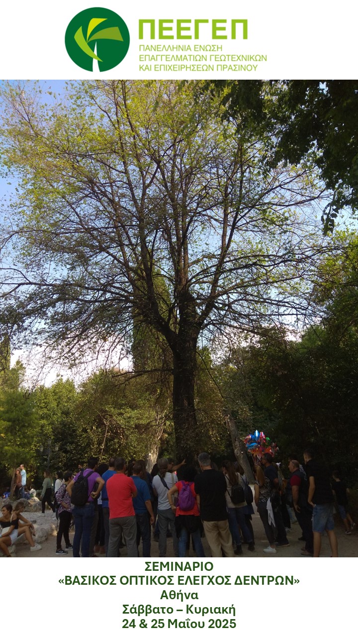ΣΕΜΙΝΑΡΙΟ «ΒΑΣΙΚΟΣ ΟΠΤΙΚΟΣ ΕΛΕΓΧΟΣ ΔΕΝΤΡΩΝ»